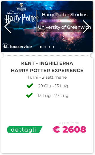 Harry Potter Experience | TS-Educational